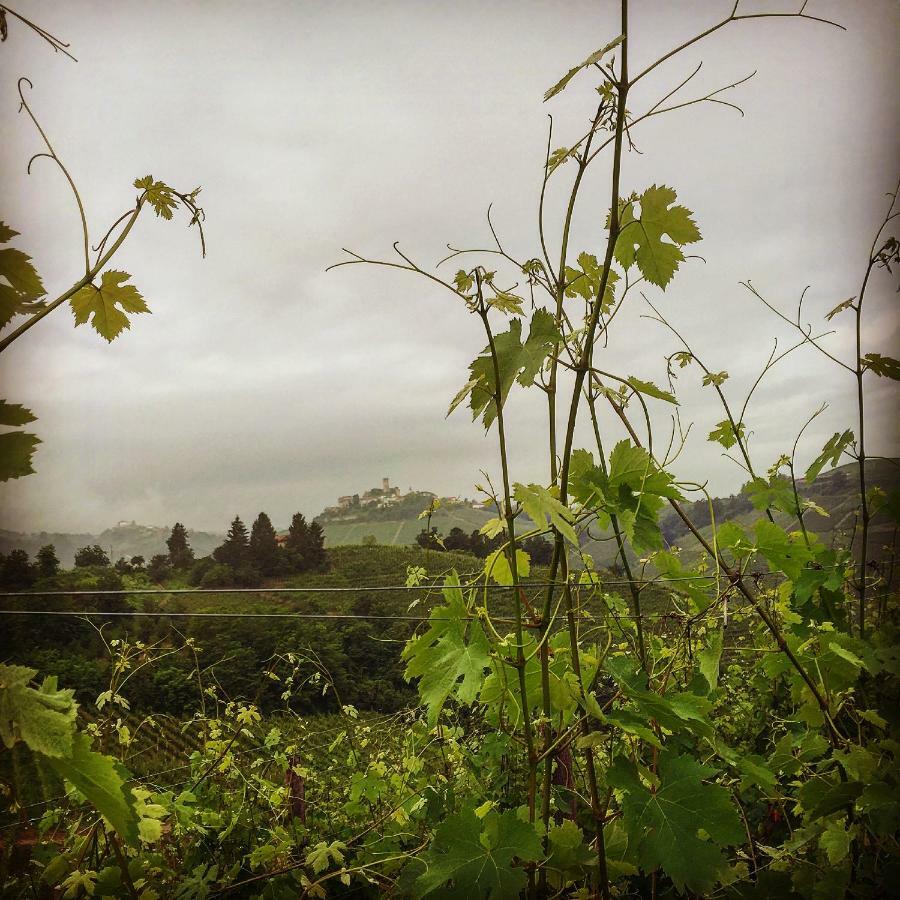 Cascina Maina Βίλα Diano dʼAlba Εξωτερικό φωτογραφία